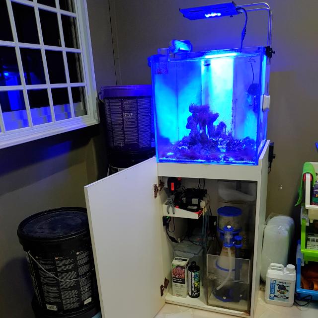 1 5 Cube Crystal Tank With Sump And Cabinet Razor Lights Skimmer
