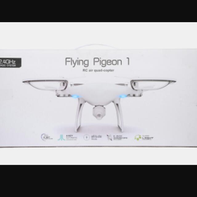Drone flying pigeon shop 1