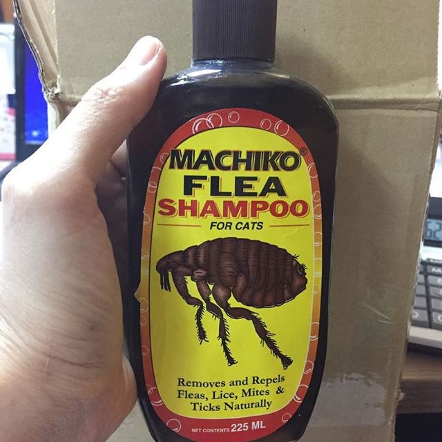 Machiko shampoo online