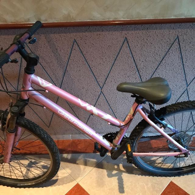 2 Lady Bike Gary Fisher Scott