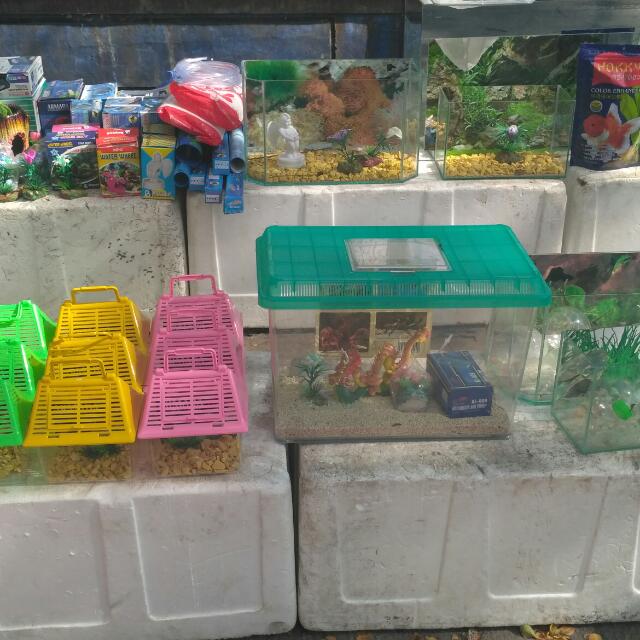 Aquarium Ikan Hias Aksesoris Aquarium Home Furniture On Carousell
