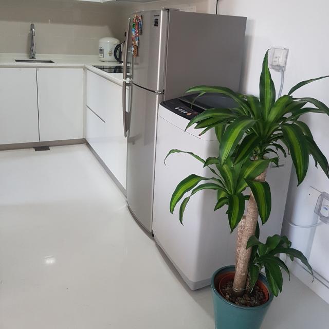 (Category: ) located in . Submitted by annaruna (Listing ID 118038511, Image 1). Description: .