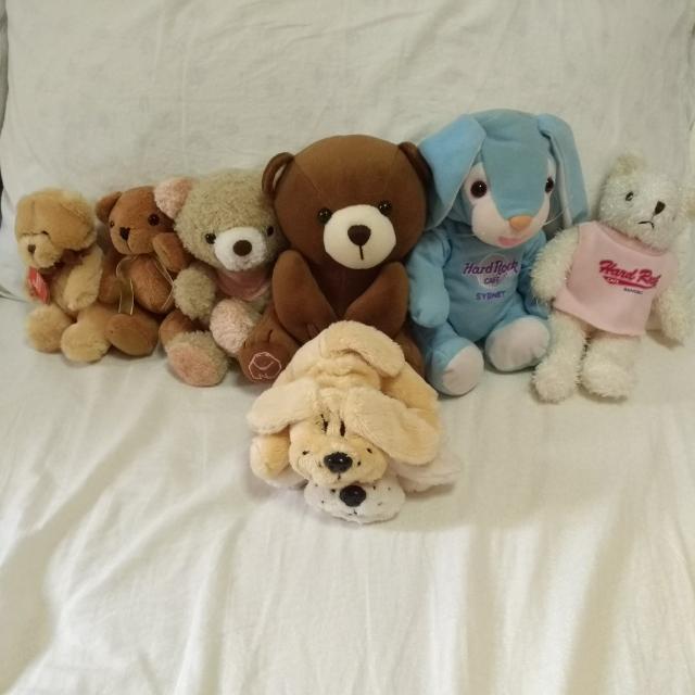 1 teddy deals bears