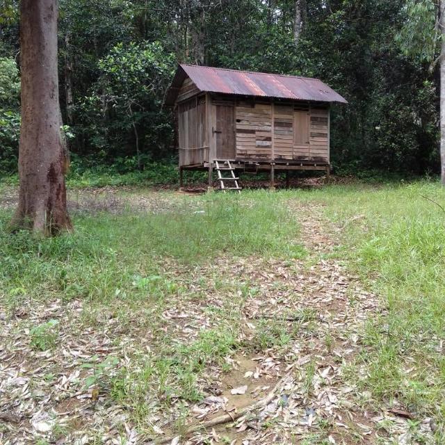 Tanah Dusun Slim River Perak Property For Sale On Carousell