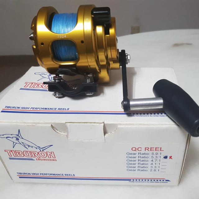 tiburon reels