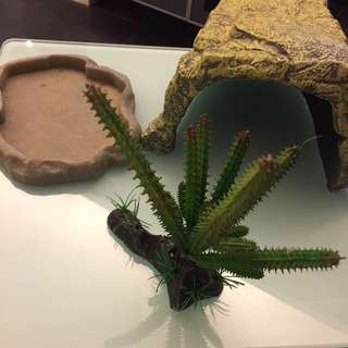 爬蟲類飼養套裝
