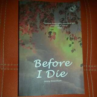 Novel Before I Die