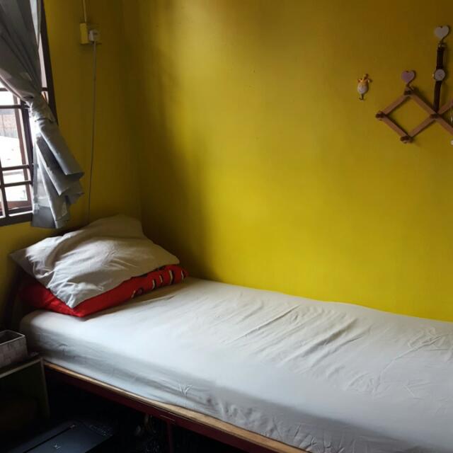 Katil Bujang Pelapik Plywood Home Furniture On Carou