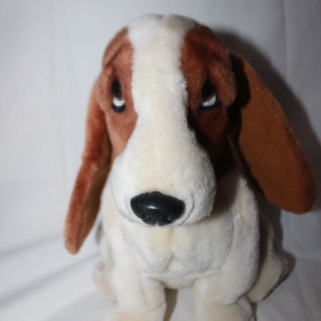 preloved basset hound