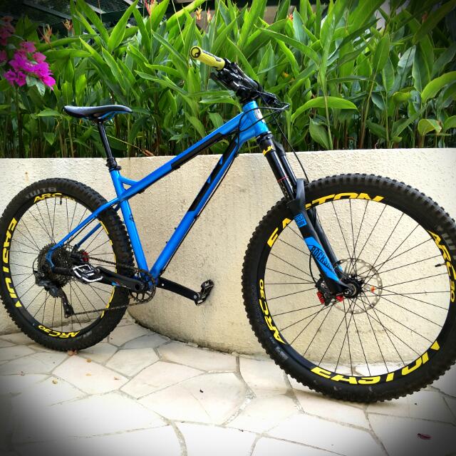 Ragley blue pig 2016 sales