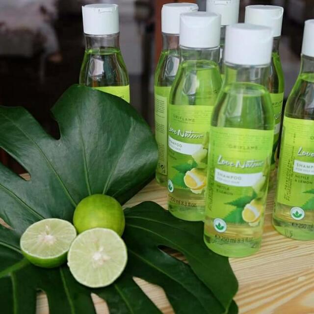 Dncof Shampoo For Oily Hair Nettle Lemon Sampo Perawatan Rambut