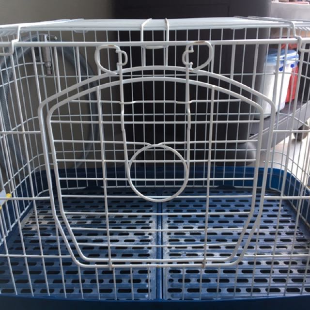 Second hand on sale rabbit cage
