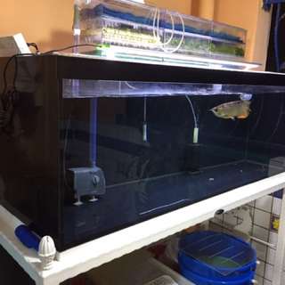 4ft x 1.5 x 1.5 Tank For Sale