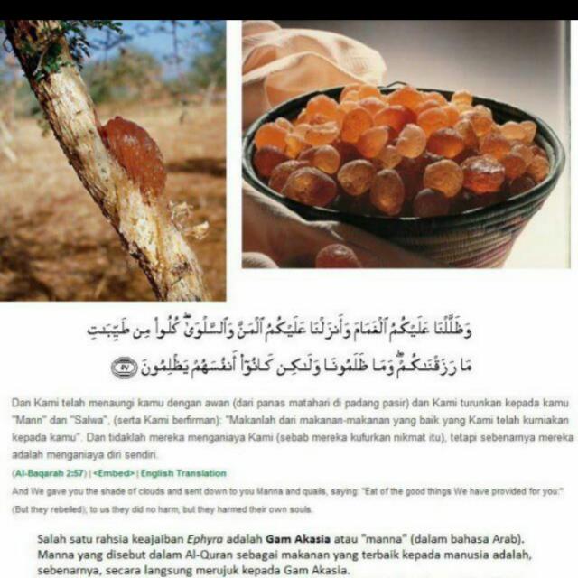 Arabic Gum Al Manna Beauty Personal Care Hands Nails On Carousell