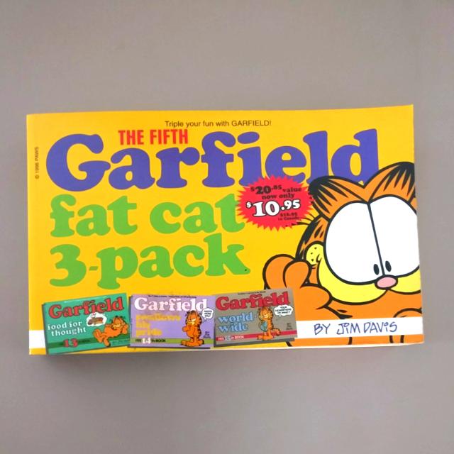 Garfield Fat Cat 3 Pack Books Stationery Fiction On Carousell