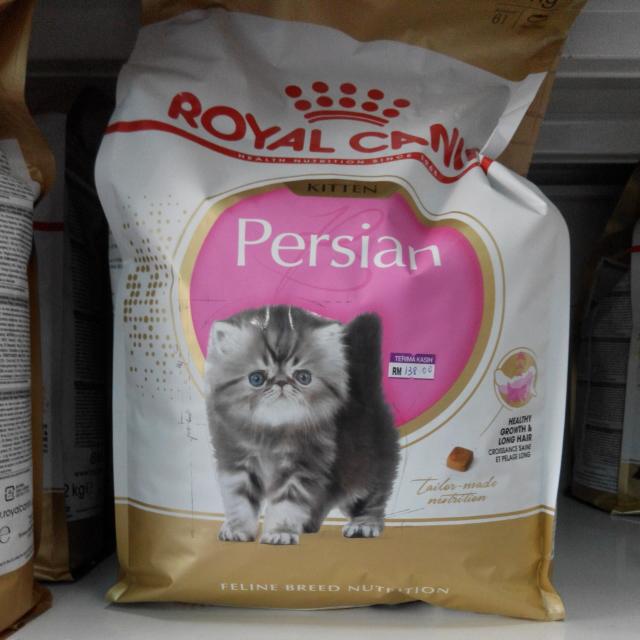 Royal Canin Persian Kitten 4kg Pet Supplies Pet Food On Carousell