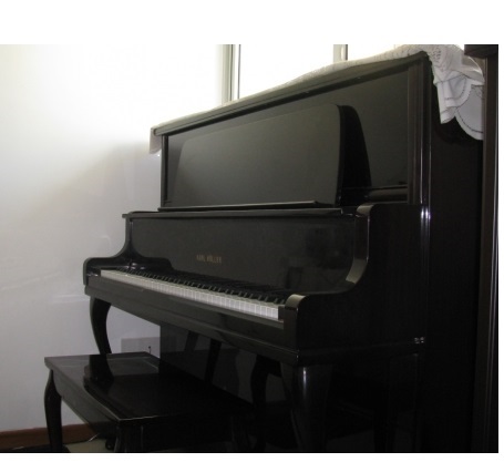 Karl muller deals piano price