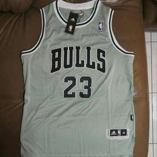 NBA Bulls Jordan 23 NIKE Jersey 