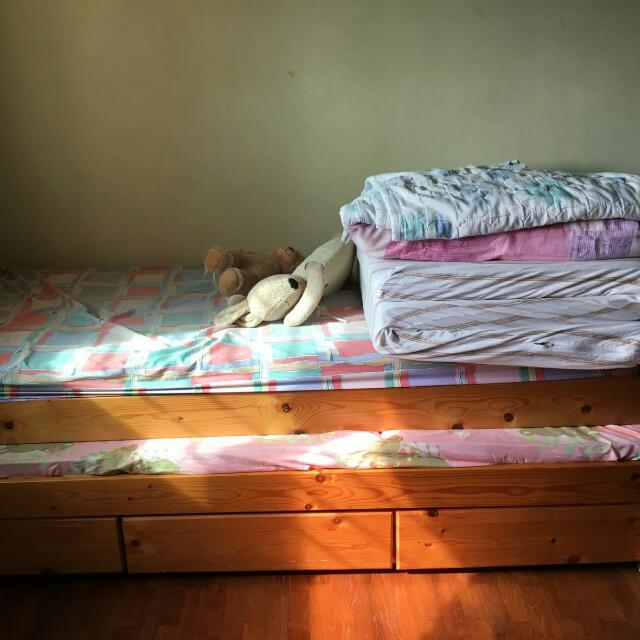 Seahorse pull online out bed