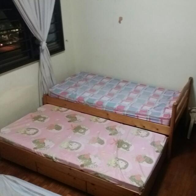 Kids Double Pull Out Bed With Storage Including One Seahorse