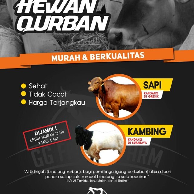 Hewan Sapi Dan Kambing Qurban Pet Supplies Food On Carousell