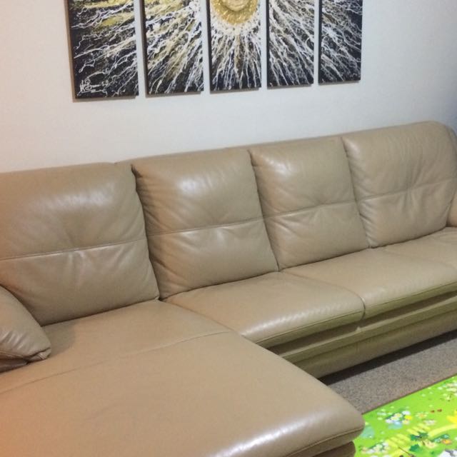 Clearance Sale Lorenzo Full Leather Sofa Furniture Sofas On
