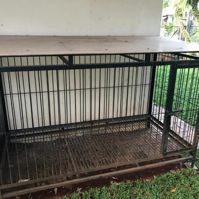 Kandang Anjing Pet Supplies Accessories On Carousell