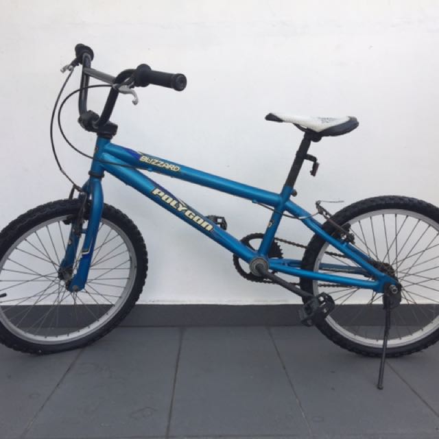 Polygon blizzard outlet bmx bike