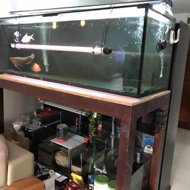6ft fish tank