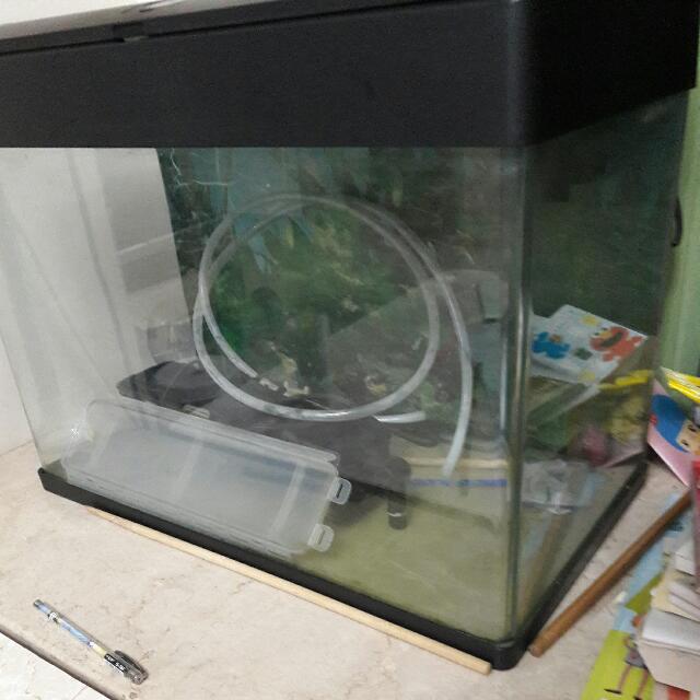 AA牌魚缸套裝, 傢俬＆家居, 園藝, 割草機和修剪機- Carousell
