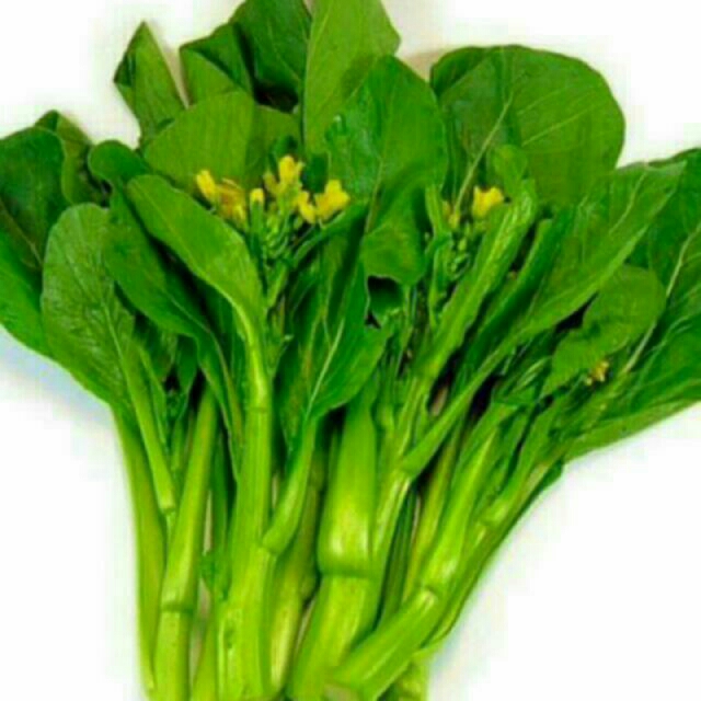 Kailan Seeds, Furniture & Home Living, Gardening, Plants & Seeds on