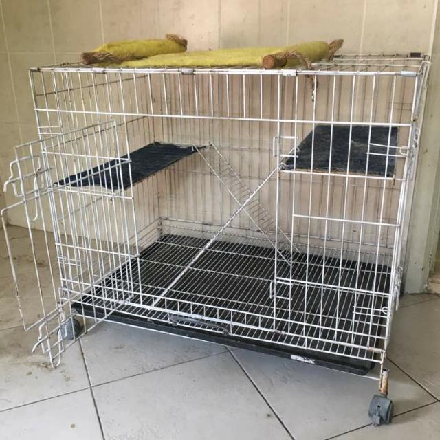 Sangkar kucing MURAH, Pet Supplies, Pet Accessories on Carousell