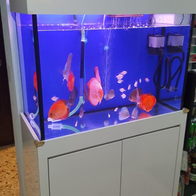 2 5 Ft Fish Tank With Filter And Lighting And Full Of Top