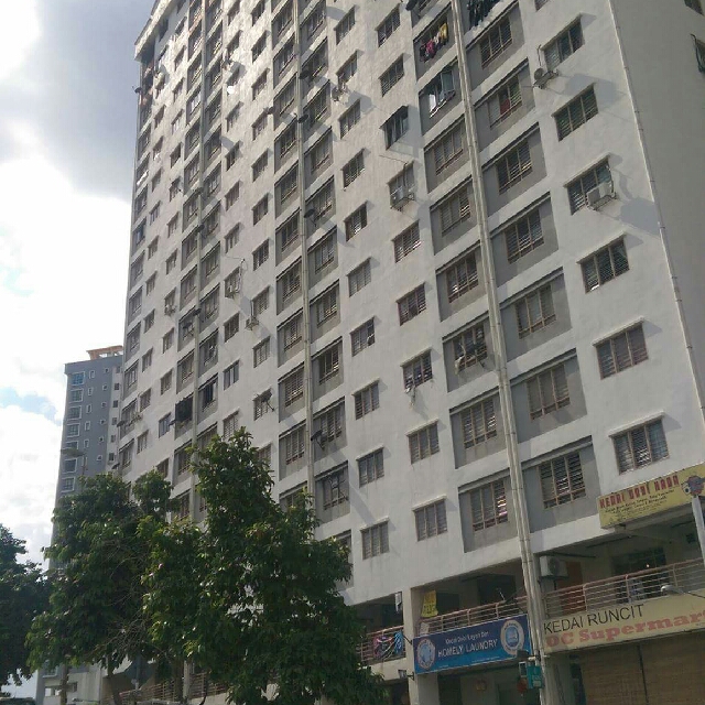 Corner Impian Seri Setia Apartment Sungai Way Petaling Jaya, Property