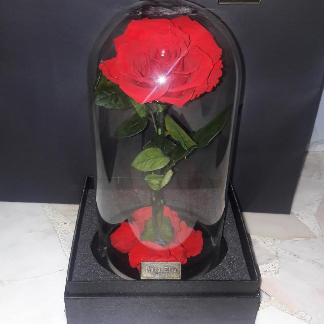 Enchanted Rose Beauty And The Beast Flower Gardening On Carousell