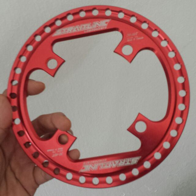 chainring protector