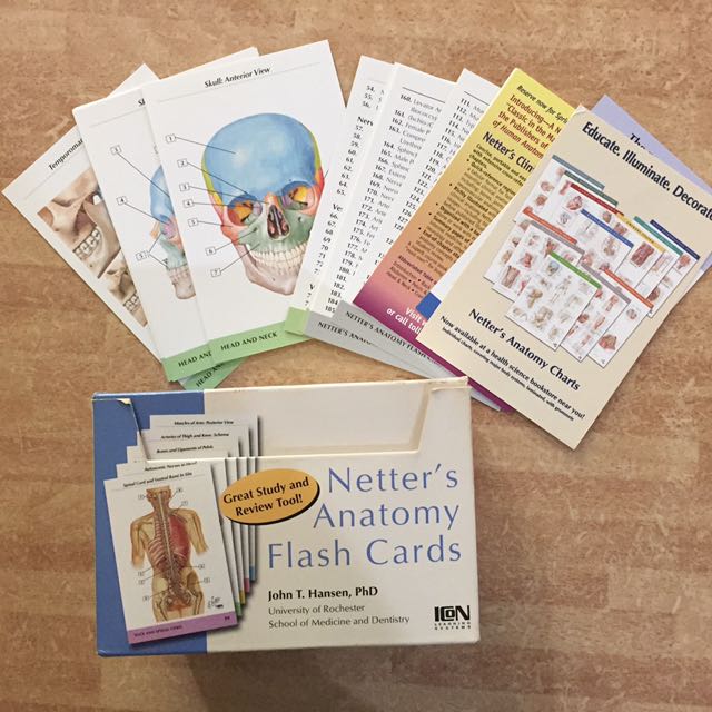 Netter S Anatomy Flash Card Second Edition Textbooks On Carousell