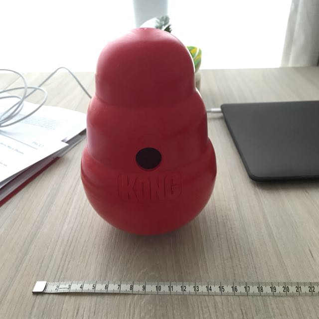 Kong Wobbler Medium Size Pet Supplies Homes Other Pet Accessories on Carousell