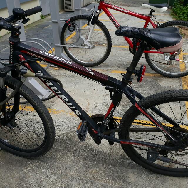 taurus spinning bike