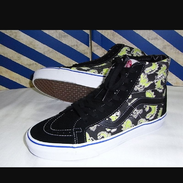 vans dinosaur shoes