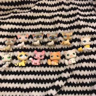 (Category: ) located in . Submitted by sarameshelle (Listing ID 121792381, Image 1). Description: .