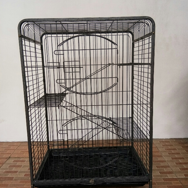 Kandang Tingkat Bekas Kucing Dan Anak Anjing Nego Pet Supplies