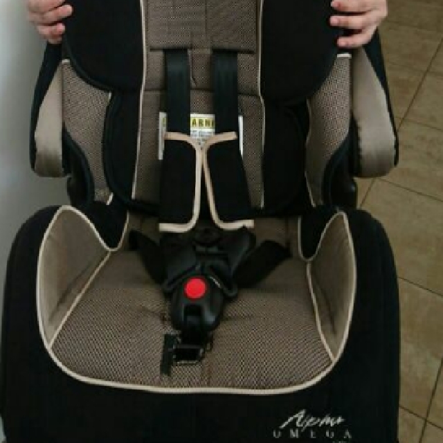 Safety First Alpha Omega Car Seat Accessories On Carou