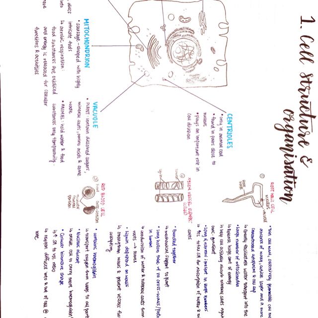 biology o level notes
