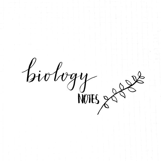 O' Level Pure Biology Notes (handrawn) 🐥 , Books & Stationery, Textbooks on Carousell