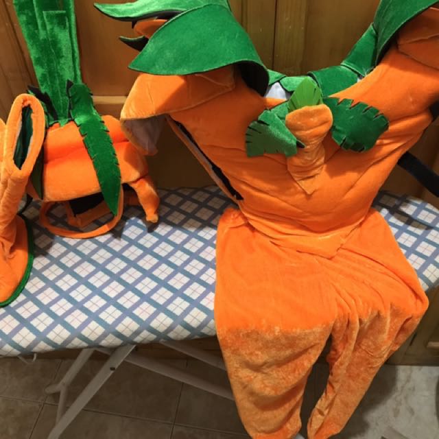 Carrot Costume For Nutrition Month - NutritionWalls