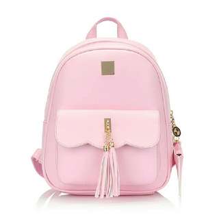 Backpack 2in1 Tgkcr