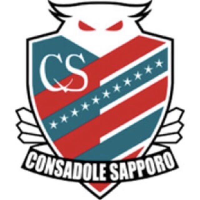 札幌冈萨多 consadole sapporo 足球队队旗