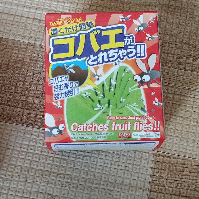 Fruit Flies Catcher Daiso, Everything Else on Carousell