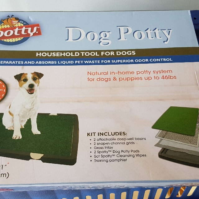 Spotty dog potty 2025